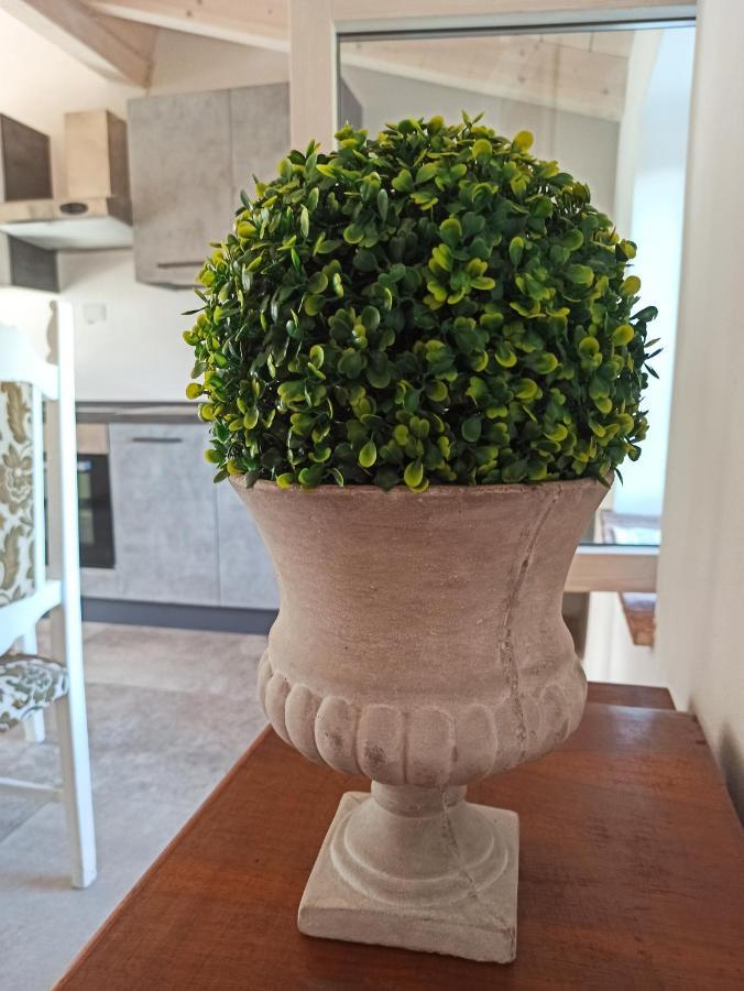 Agriturismo Podere Le Palaie Monterotondo  Exteriér fotografie
