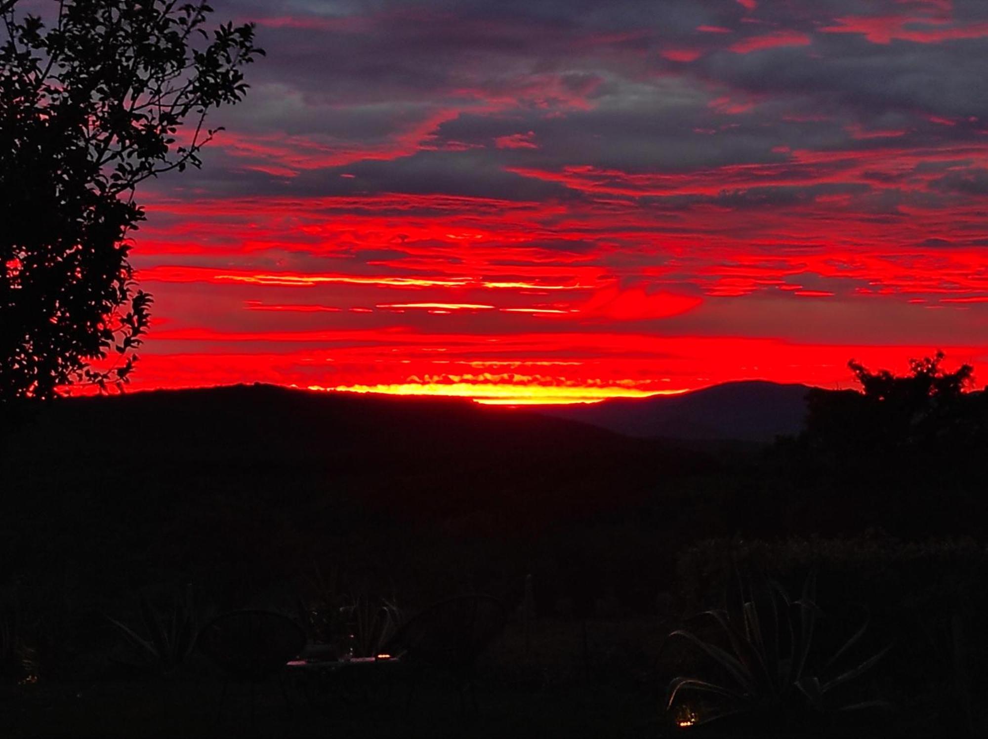 Agriturismo Podere Le Palaie Monterotondo  Pokoj fotografie